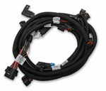 HOLLEY 558-125 SUB HARNESS  FORD COYOTE