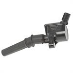 DELPHI GN10164 Ignition Coil