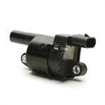 DELPHI GN10165 Ignition Coil