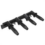 DELPHI GN10234 Ignition Coil