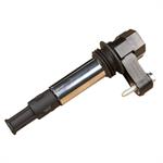 DELPHI GN10309 Ignition Coil