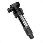 DELPHI GN10453 Ignition Coil