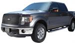FIA GS90224 BUG SCREEN 2017 SUPER DUTY