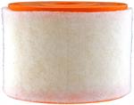 FRAM CA11424 AIR FILTER   EXTRA GUARD