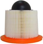 FRAM CA8039 AIR FILTER