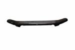 LUND 18419 Bugshield: 2001-2007 Toyota Highlander 2005-2006 T