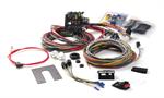 PAINLESS 10102 12 CIRCUIT WIRE ASSEMBLY GM