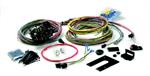 PAINLESS 10201 18 CIRCUIT WIRE ASSEMBLY GM