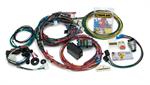 PAINLESS 20121 12 CIR HARNESS MUSTANG 67-68