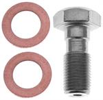 RAYBESTOS H5386 Banjo Bolt