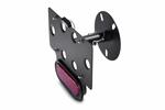 WARRIOR 2380 License Plate Bracket