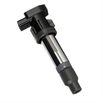 DELPHI GN10453 Ignition Coil