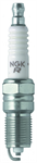 NGK 3951 TR55 DOMESTIC PLUGS 4BX