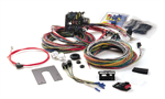 PAINLESS 10101 21 CIRCUIT WIRE ASSEMBLY GM
