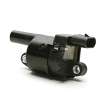 DELPHI GN10165 Ignition Coil
