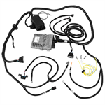 M-6017-M50A Engine Wiring Harness