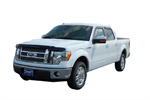AVS 21009 HOODFLECTOR F150 09