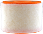 FRAM CA11424 AIR FILTER   EXTRA GUARD