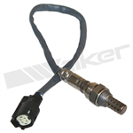 WALKER 350-34446 Oxygen Sensor