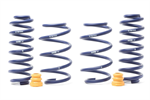 Lowering Kit