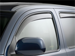 WEATHERTECH 80389 Rainguard