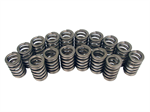 COMP CAMS 98316 1.250 OVATE WIRE SPRING