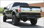 FAB FOURS FF09-W1750-1 WINCH BUMPER F150 REAR 09-10