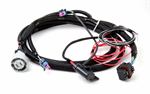 HOLLEY 558-405 4L60/80 HARNESS
