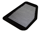 AFE 31-10160 Air Filter