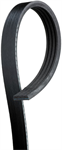GATES K040338SF V-RIBBED BELT