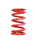 H&R R25100100 Coil Spring
