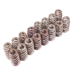 Valve Spring