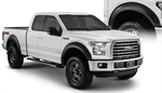 BUSHWACKER 20936-02 FORD EXTEND-A-FENDER FLARE SET