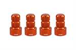 Valve Stem Cap