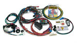 PAINLESS 20121 12 CIR HARNESS MUSTANG 67-68