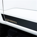 Rocker Panel Molding
