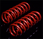 SKYJACKER 134 Coil Spring