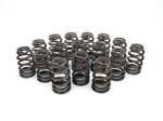 COMP CAMS 2698616 1.415 BEEHIVE SPRING