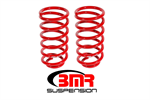 BMR SP029R Lowering Kit