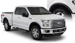 BUSHWACKER 20937-02 FORD OE STYLE FF SET