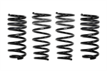EIBACH E10-20-031-04-22 COIL OVER SHOCK SPRINGS