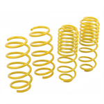 Lowering Kit