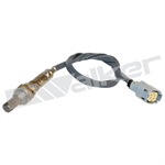WALKER 350-341014 Oxygen Sensor