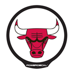 POWERDECAL DERRICK ROSE