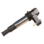 DELPHI GN10309 Ignition Coil