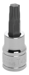 PERFORMANCE TOOL W38845 STAR BIT SOCKET T45