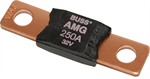 5107-BSS Fuse