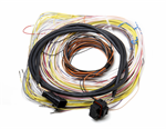 HOLLEY 558-401 J2A CONNECTOR AND HARNESS