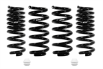 EIBACH E10-51-019-01-22 LOWERING KIT