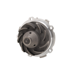 DAYCO DP994 Water Pump